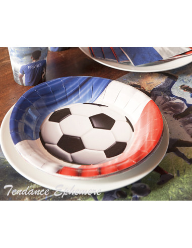 1 Assiette Carton Foot Coupe du Monde