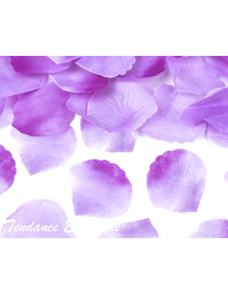 2 Canon à Confetti Pétales Mauve 40cm