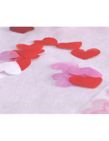 1 Confetti de Table Coeur Rouge Intissé