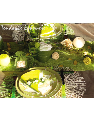 1 Chemin de Table Abaca Vert Anis 5m