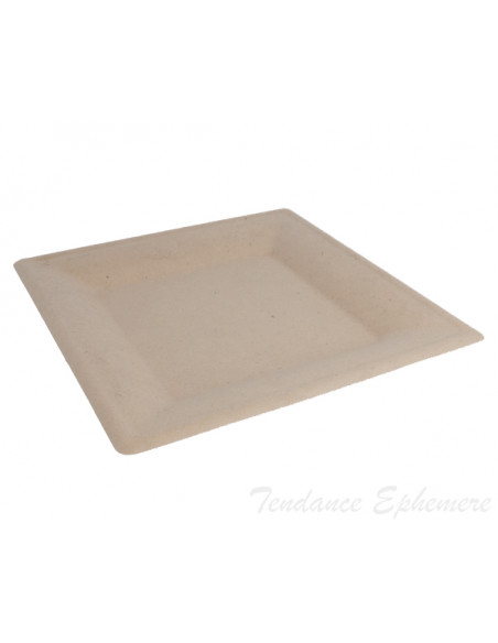 2 Assiette Biodégradable Canne à Sucre Naturelle Carrée 26 cm - 50