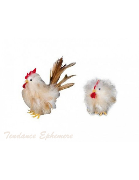 2 Coq Brun Clair 9cm