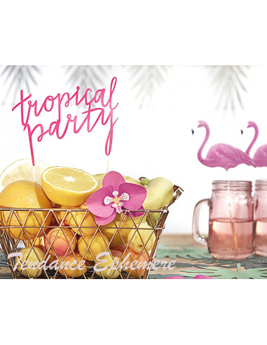 1 Décoration Tropical Party Rose Sur Pic