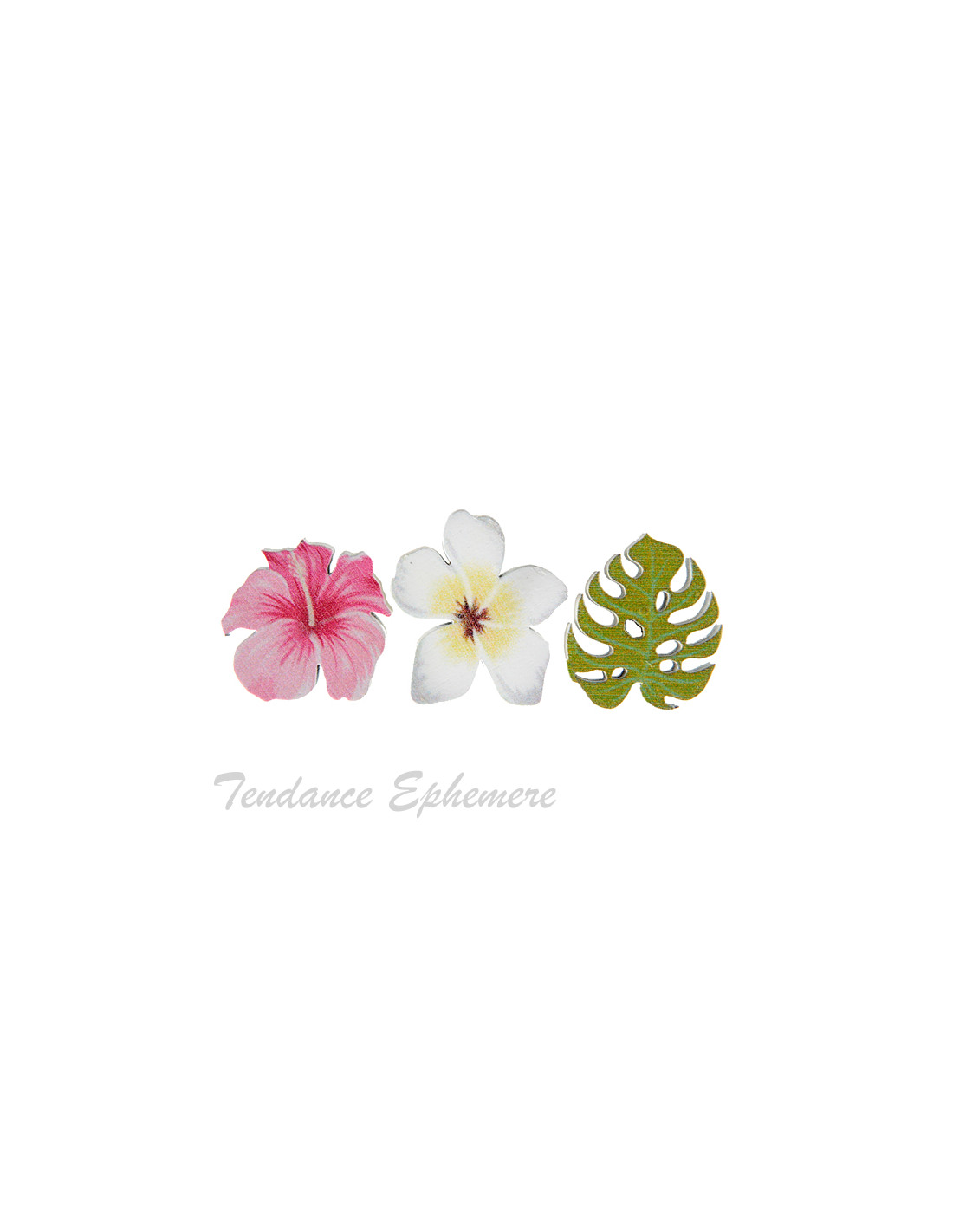Fleurs Exotiques Bois Assortiment 3cm Confettis De Table 1 95 Fleurs Exotiques Bois Assortiment 3cm Confettis De Table 1 95