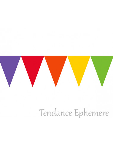 1 Guirlande Fanions Multicolores Vif 4.5m