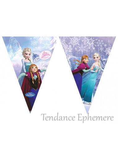 1 Guirlande Reine des Neiges Fanions