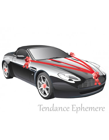mariage deco voiture