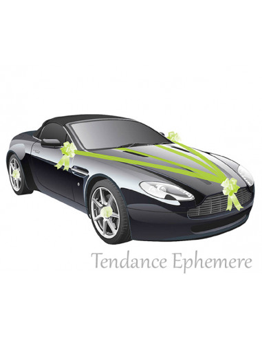 1 Kit Déco Voiture Mariage Vert Anis