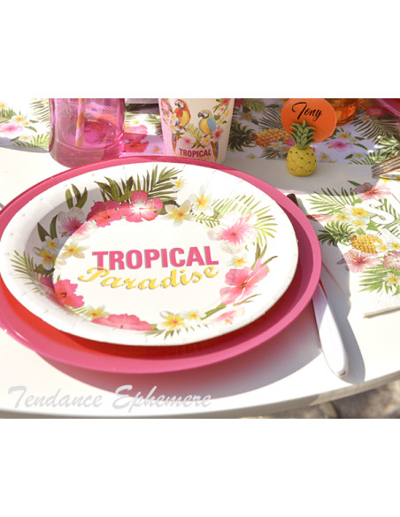 1 Assiette Carton Tropical 23cm