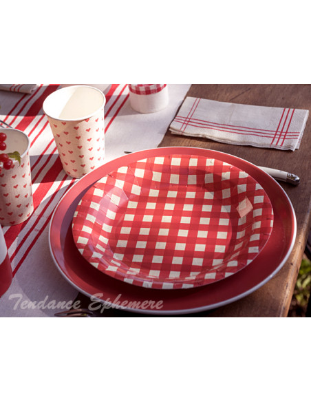 1 Assiette Carton Vichy Rouge 23cm