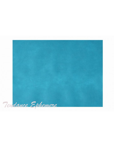 1 Nappe Spunbond Bleu Lagon 25m