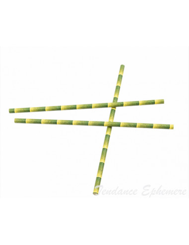 1 Paille Papier Déco Bambou 21cm - 50