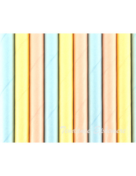 2 Paille Papier Multicolore Pastel - 10