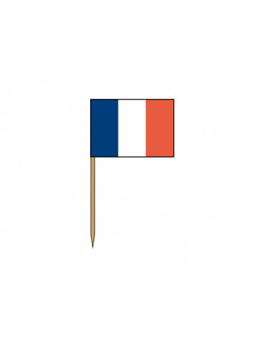 1 Petit Drapeau sur Pic FRANCE