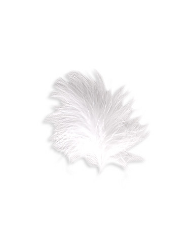 Plume Blanche Sachet De 10g Autre Coloris Disponibles Plume Blanche Sachet De 10g Autre Coloris Disponibles