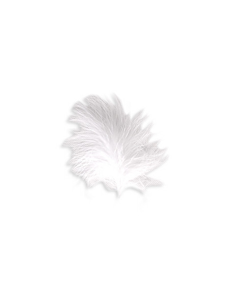 2 Plume Blanche 10g