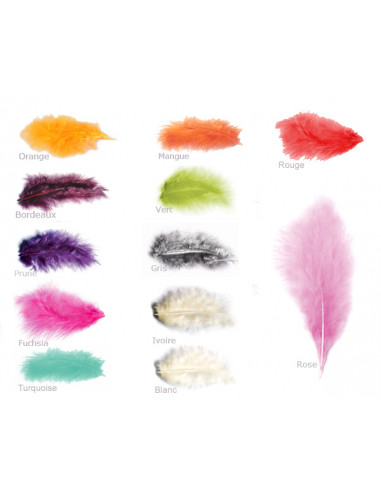 1 Plume 15cm - 7 Coloris