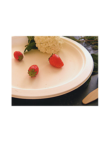 1 Assiette Biodégradable Canne à Sucre Ronde 18 cm-25