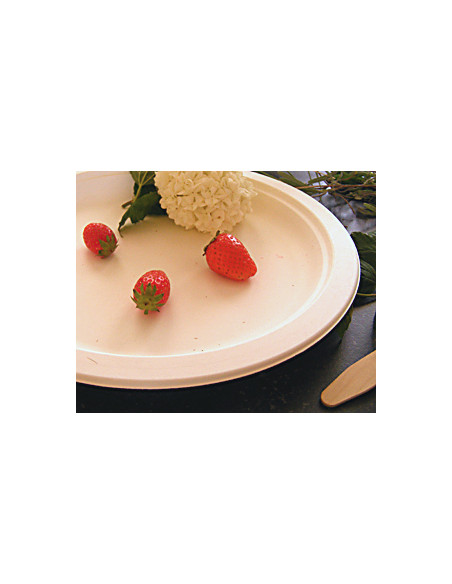 1 Assiette Biodégradable Canne à Sucre Ronde 18 cm-25