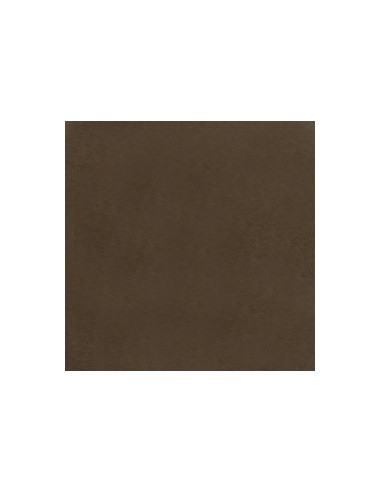 1 Serviette Intissée Chocolat 40cm - 50