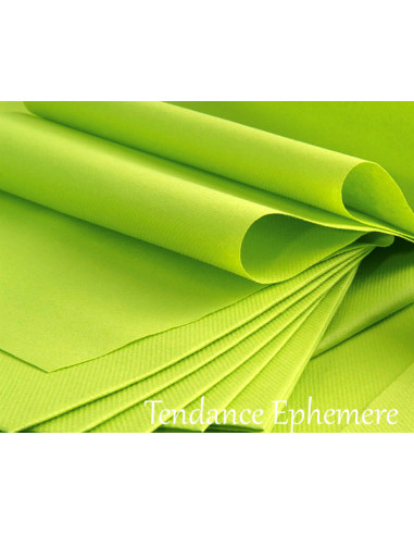 1 Serviette Intissée Vert Anis 40cm - 50