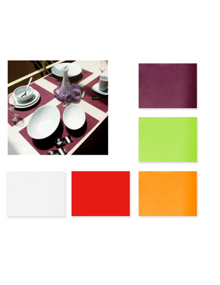 1 Set de Table Spunbond 30x40cm - 4 Coloris