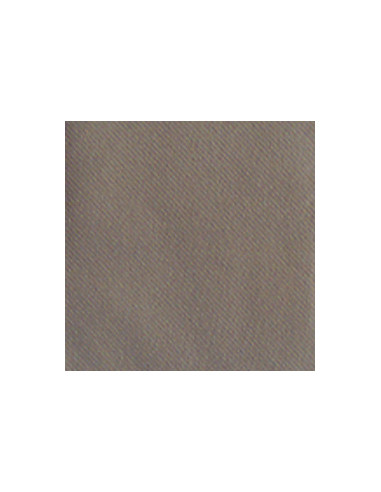 1 Serviette Intissée Taupe 40cm - 50