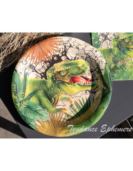 1 Assiette Carton Dinosaure Jurassic 22,5cm