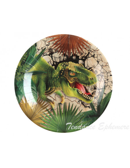 2 Assiette Carton Dinosaure Jurassic 22,5cm