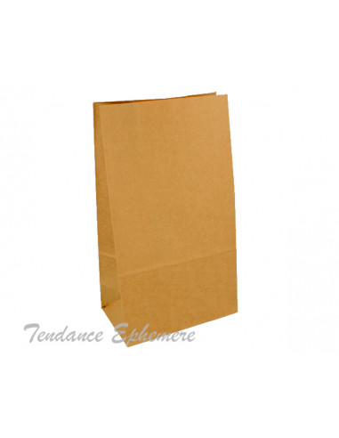 1 10 Sachets Kraft Sans Anse 24cm