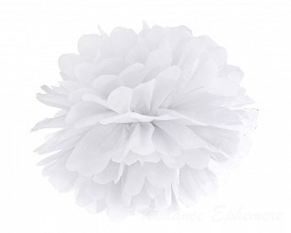 Pompon Papier de Soie 25cm - 13 Coloris