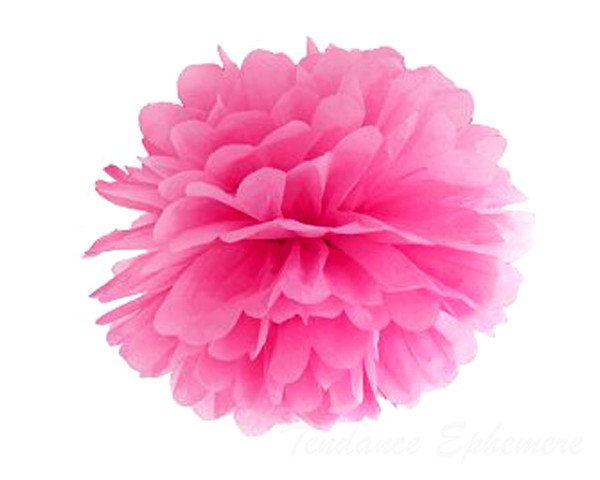 Pompon Papier de Soie 25cm - 13 Coloris