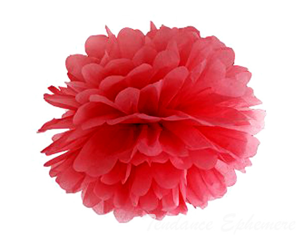 Pompon Papier de Soie 25cm - 13 Coloris