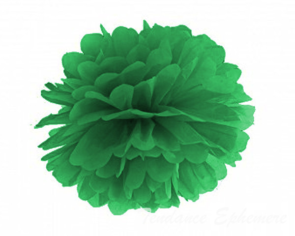 Pompon Papier de Soie 25cm - 13 Coloris