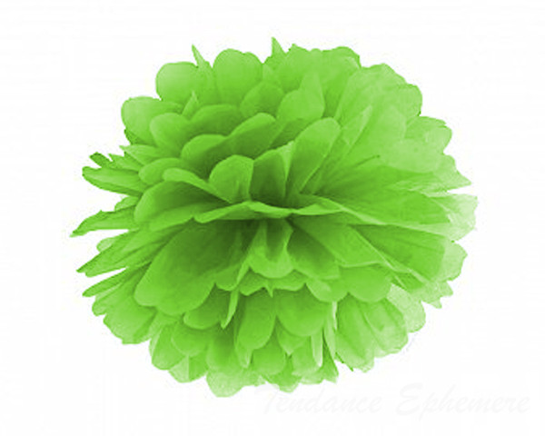 Pompon Papier de Soie 25cm - 13 Coloris