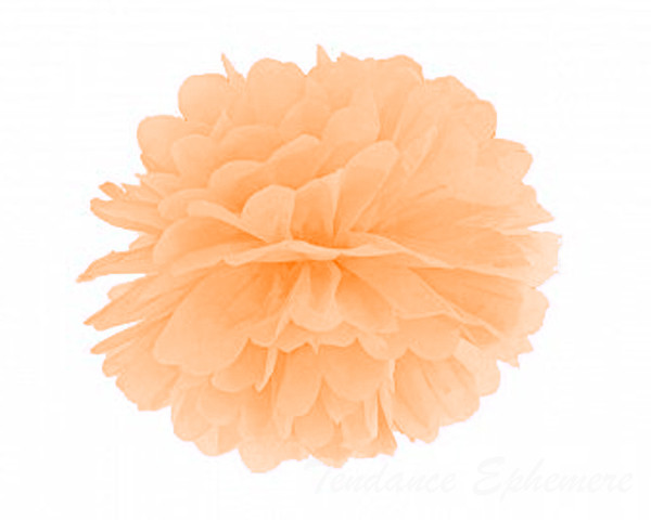 Pompon Papier de Soie 35cm - 12 Coloris