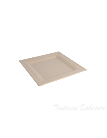 2 Assiette Biodégradable Canne à Sucre Naturelle Carrée 20 cm - 50