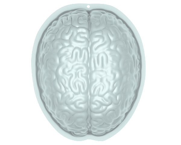 Moule a Gateau Cerveau