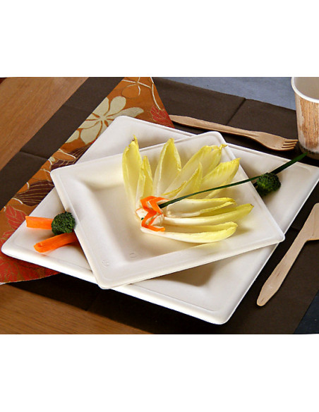 2 Assiette Biodégradable Canne à Sucre Carrée 20 cm -25