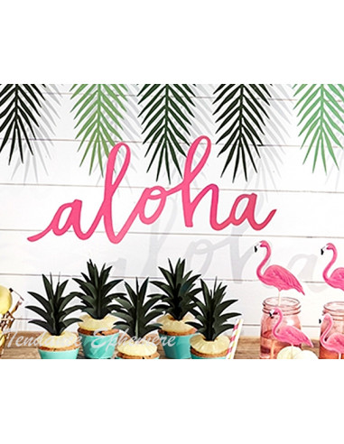 1 Banderole Aloha Fuchsia