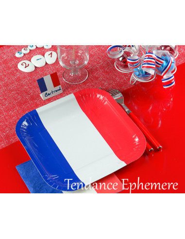 1 Assiette Carton France Carrée 24cm