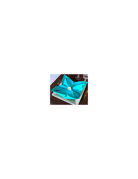 Serviette Intissee Unie