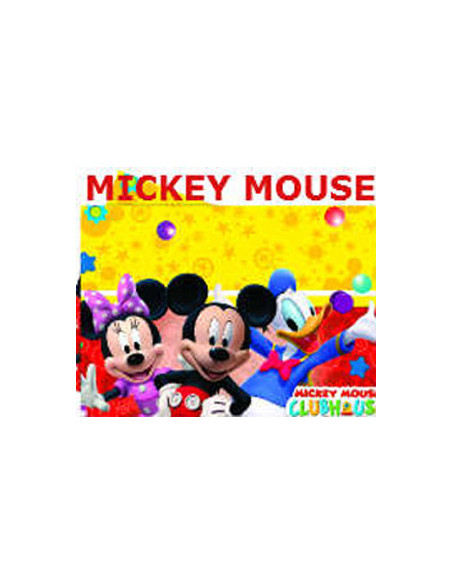 Theme Mickey