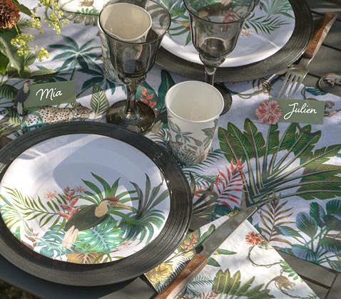 Assiettes jetables tendances Fête